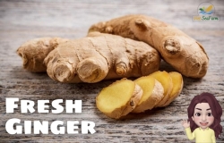 PROCEDURES FOR EXPORTING FRESH GINGER